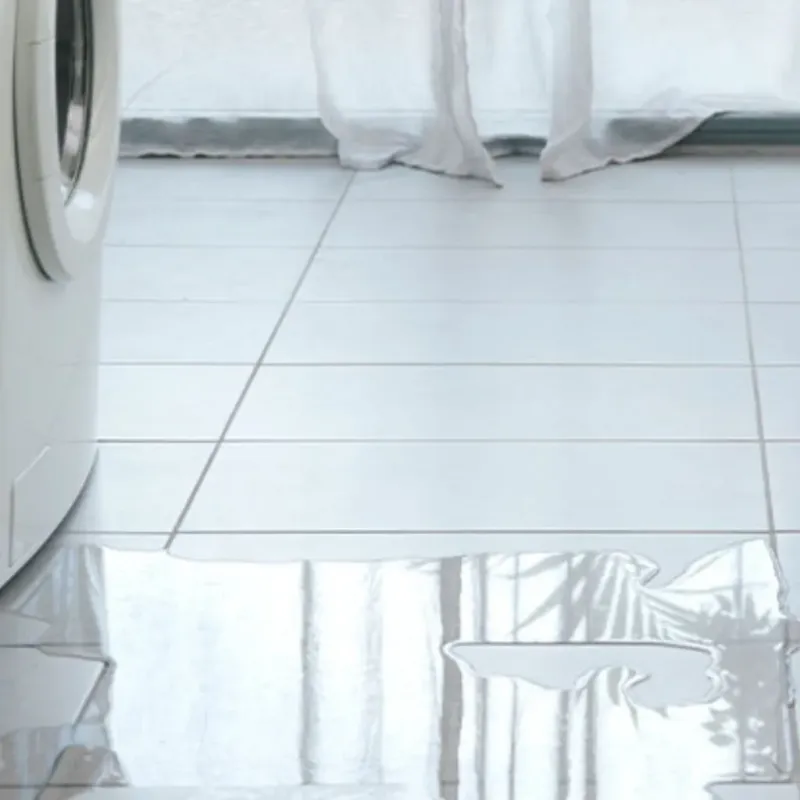Appliance Leak Cleanup in Vienna, GA