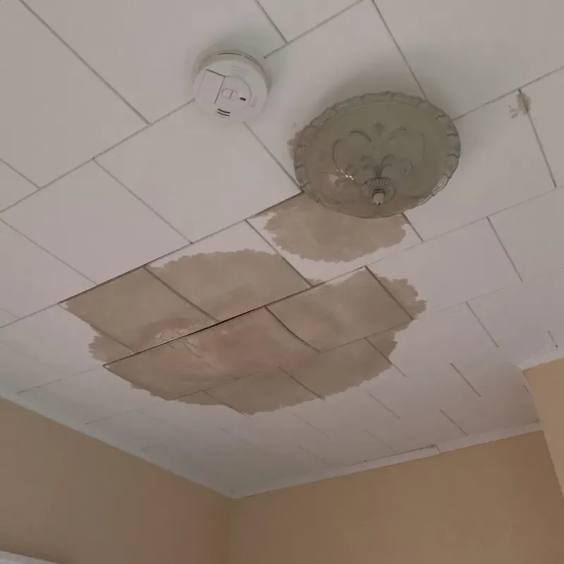Ceiling Water Damage Repair in Vienna, GA