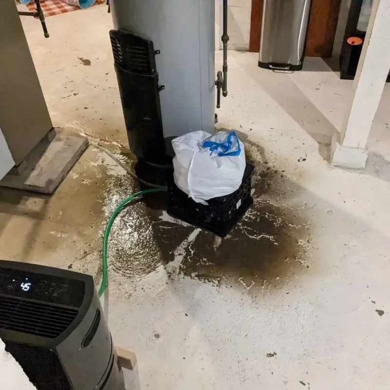 Sewage Backup Cleanup Service in Vienna, GA